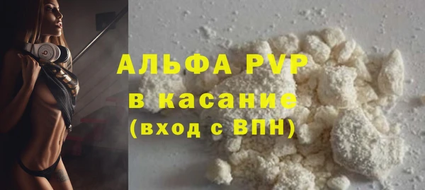амф Каменногорск