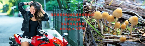 амф Каменногорск